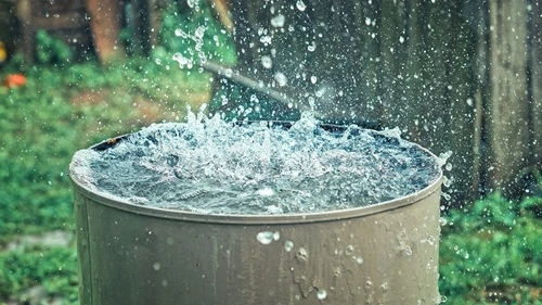 Collect Rainwater In Ohio